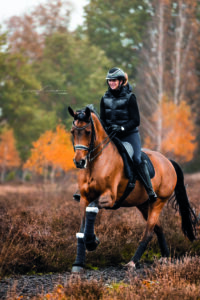 Wellness-fuer-Pferde-Honnespa-Norden (9)