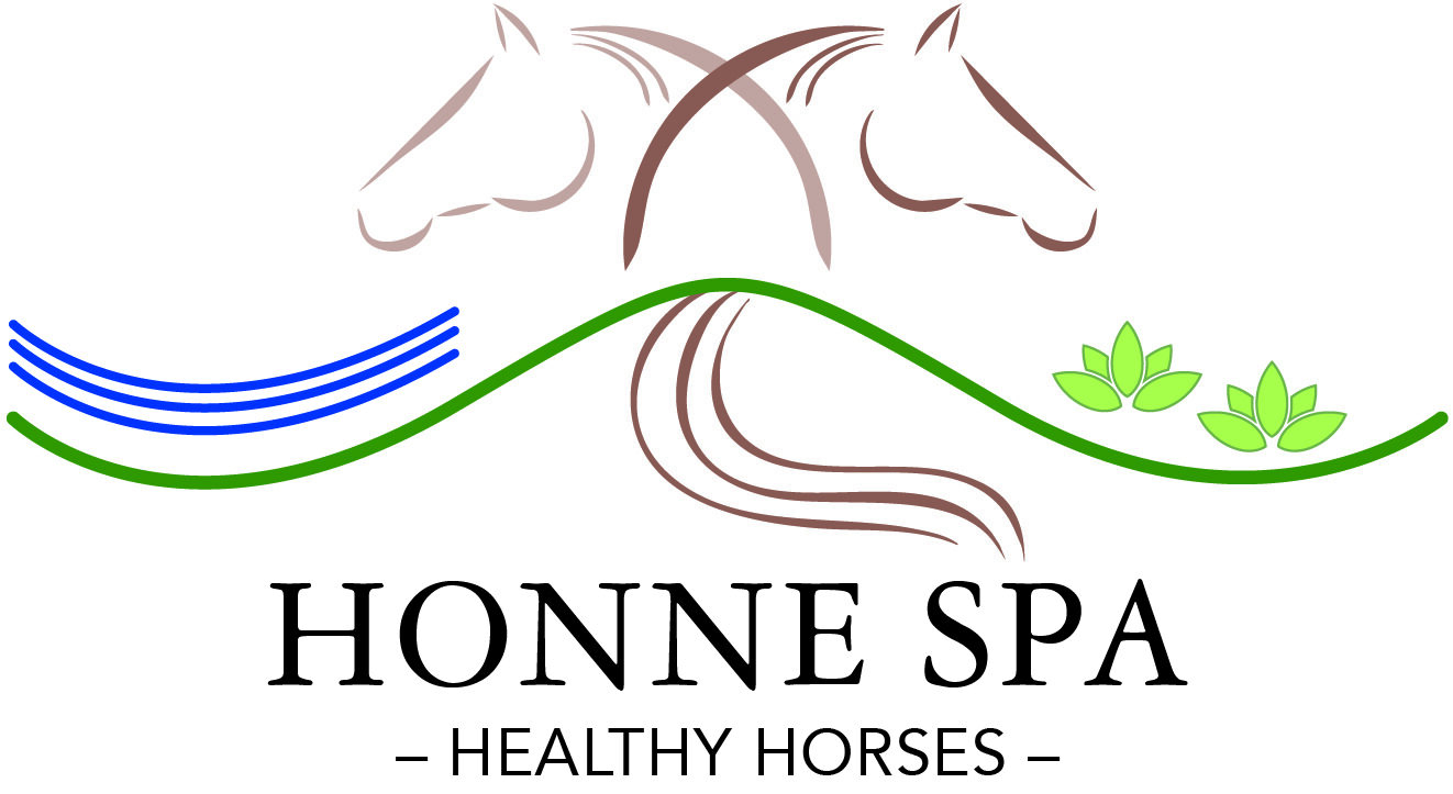 Honnespa